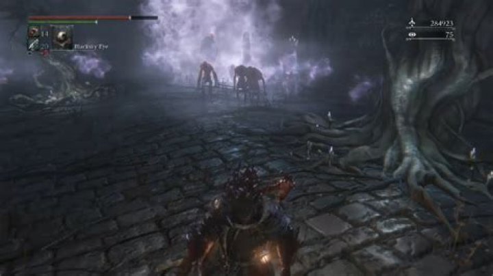Which root chalice dungeons?