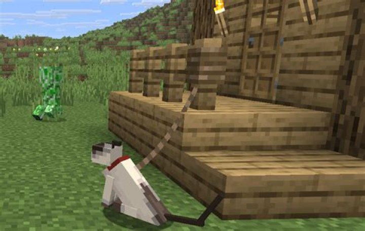 Why are creepers afraid of cats? [closed]