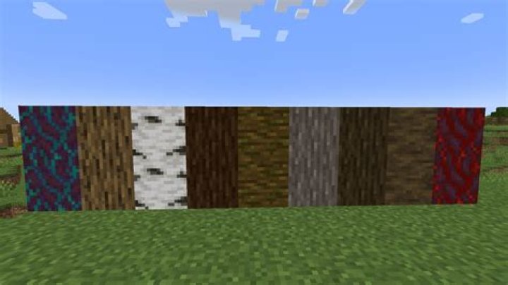 Why are there random lines of wooden planks going through my castle on my private Minecraft server? [closed]