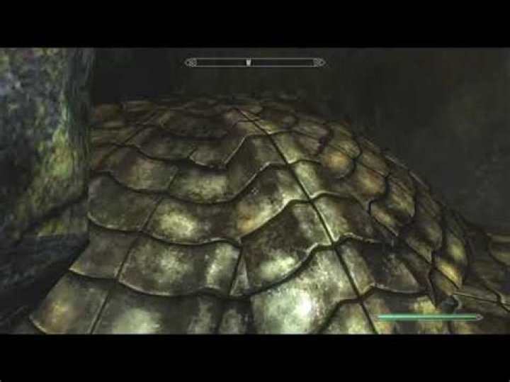 Why are there vines over the entrance to Bthardamz?