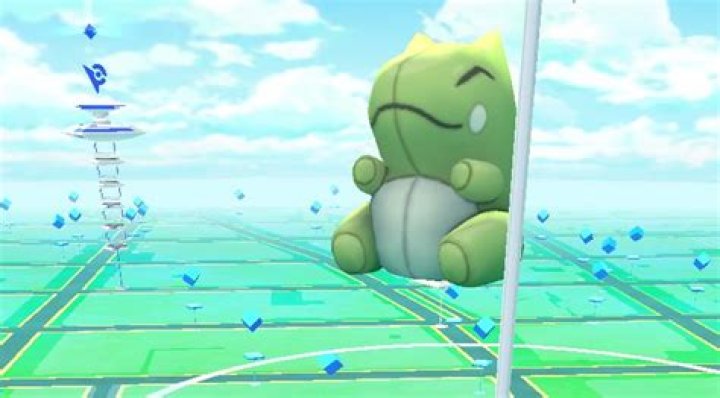 Why can a substitute appear in a gym?