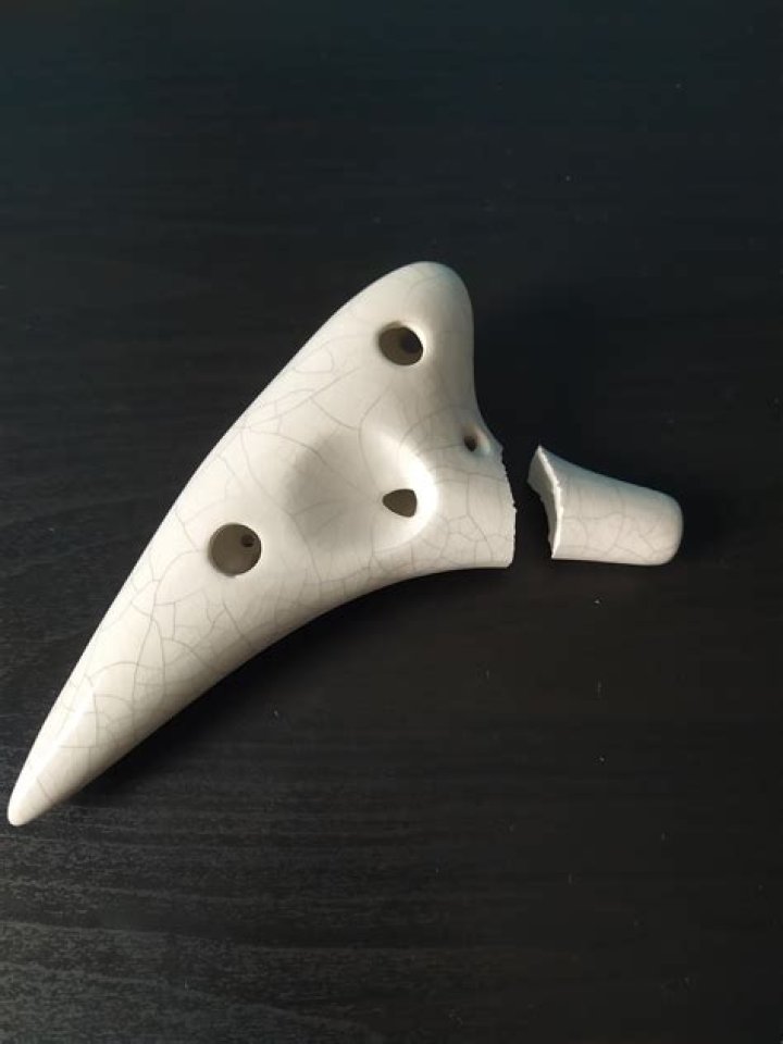 Why did my Ocarina disappear?