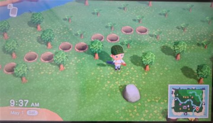 Why did some of my fruit trees not grow to the next stage?