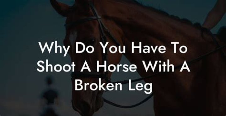 Why does my horse break the lead I tied him to the rail with?