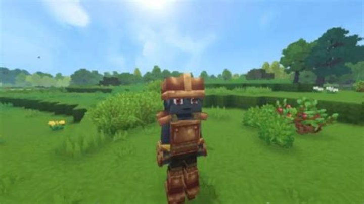 Why hide armor?