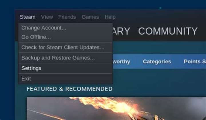 Why is Steam only showing me 