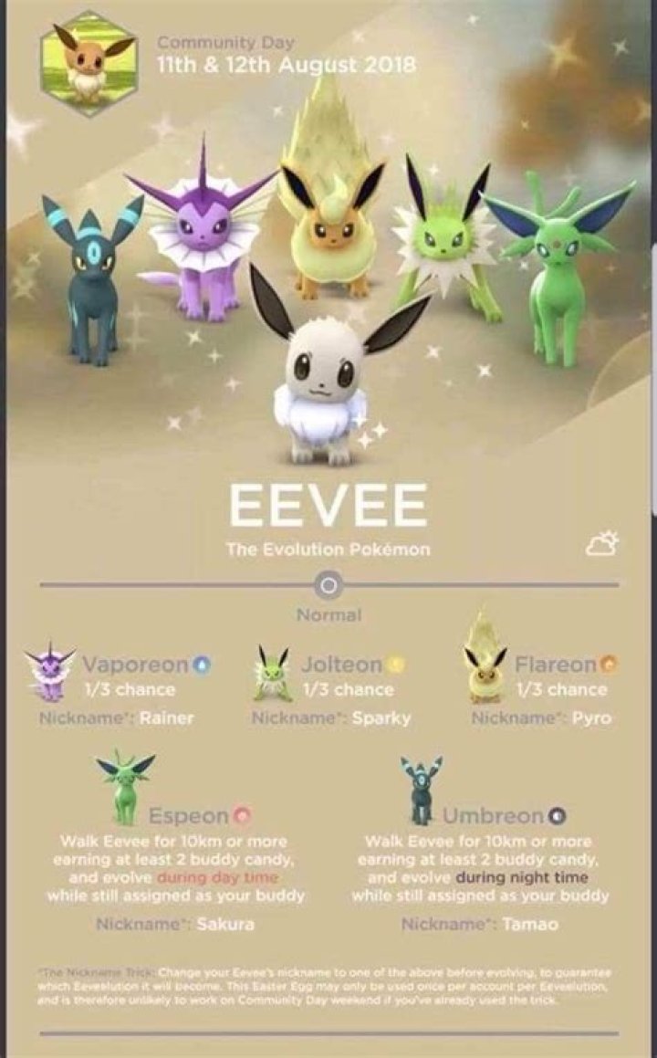Why won't Eevee evolve even after renaming it in Pokemon Go?