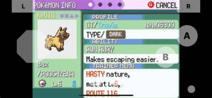 Will shiny Pokemon appear when playing Pokemon Rumble on an emulator?