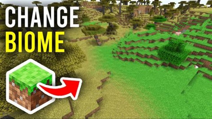 World edit unable the change biome in a specific world