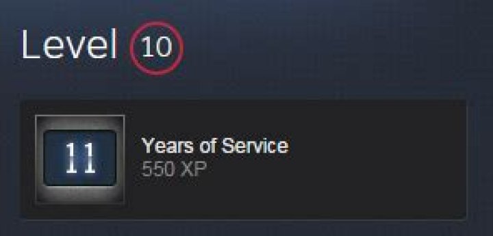 Yesterday, I earned the 11 years of service badge and didnt level up